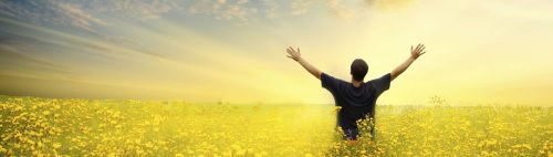 It is our Mission to Know Jesus Fully ...